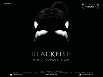 Blackfish